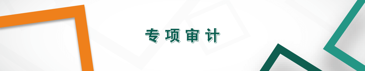 專項(xiàng)審計